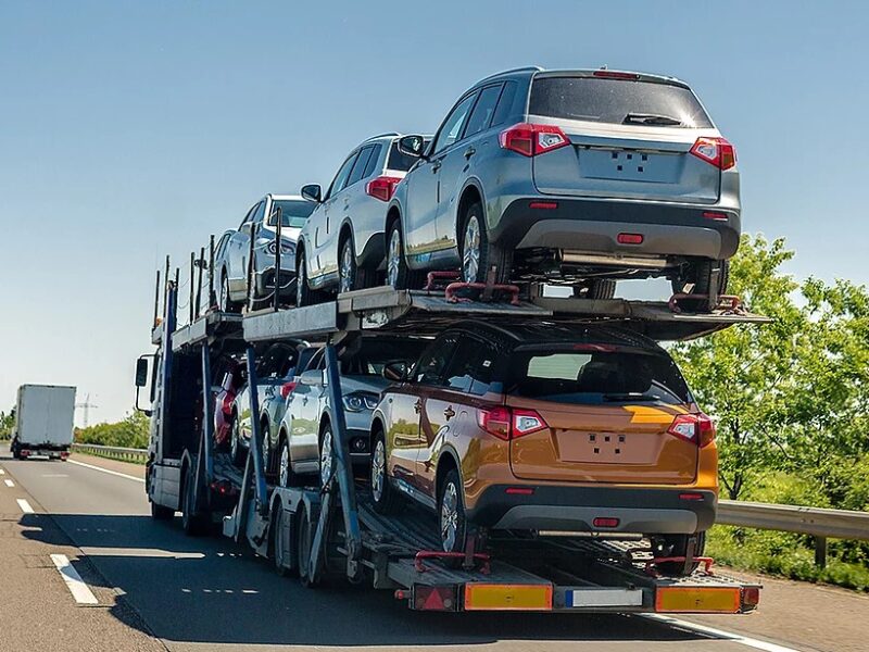 trasporto auto con bisarca