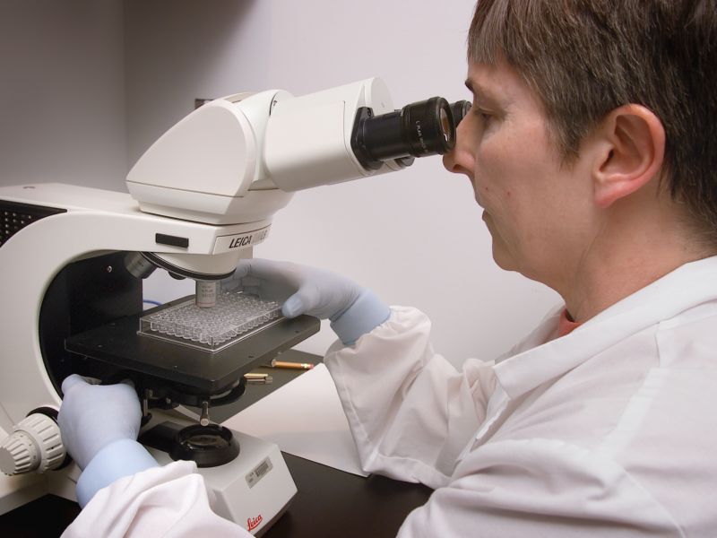 Quanto costa una microscopia in campo oscuro