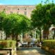 Quanto costa il pandoro di chiara ferragni