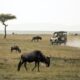Quanto costa un safari in africa