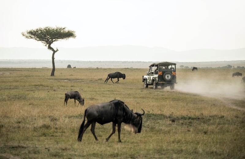 Quanto costa un safari in africa