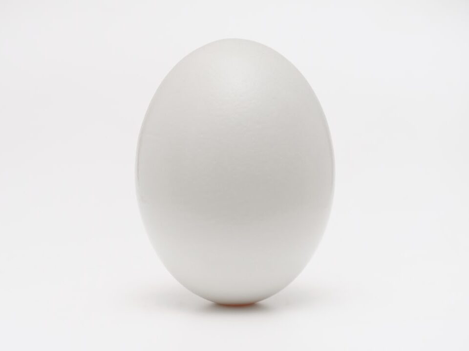 Quanto costa un uovo di struzzo