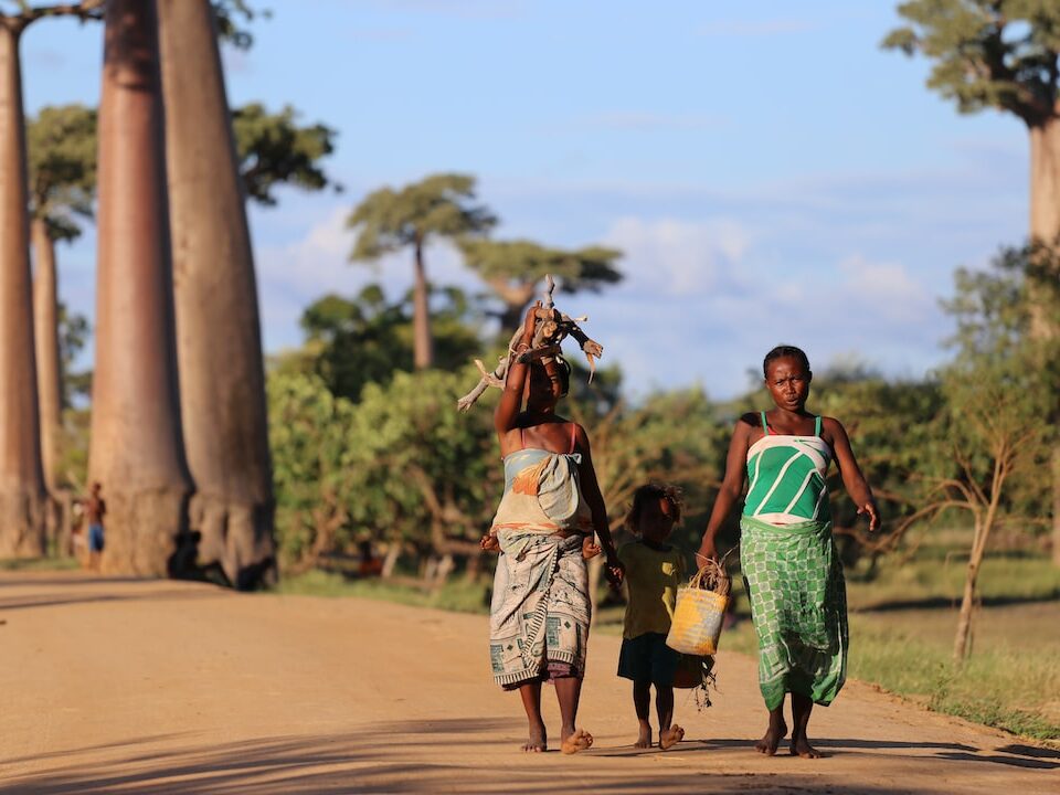 Quanto costa andare in madagascar