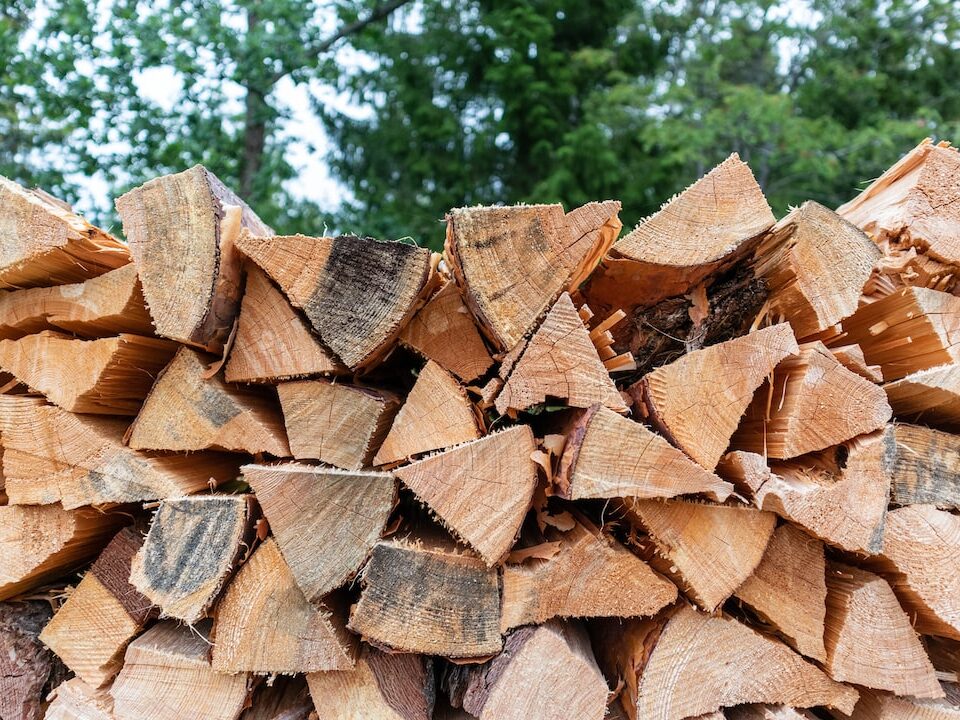 Quanto costa la legna da ardere