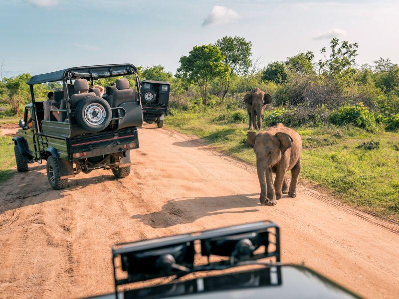 Quanto costa un safari in Kenya