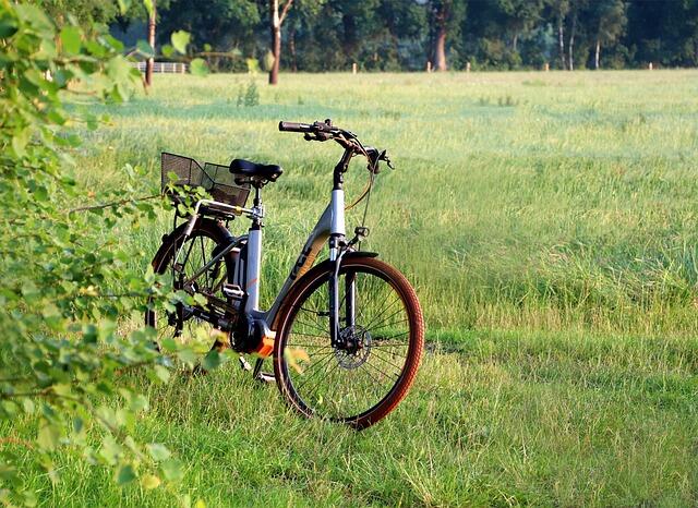 Quanto costa la bici elettrica