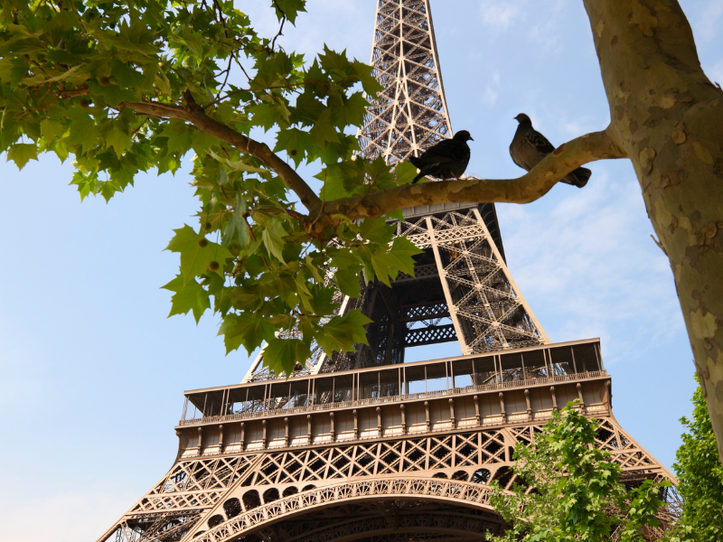 Quanto costa visitare la Torre Eiffel