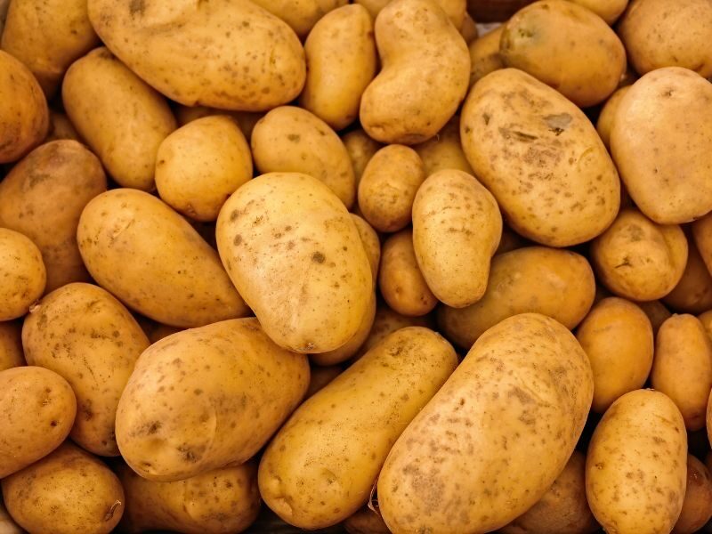 Quanto costa un chilo di patate